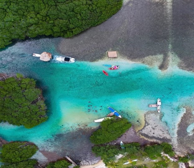 Aerial view of turquoise water and mangroves
